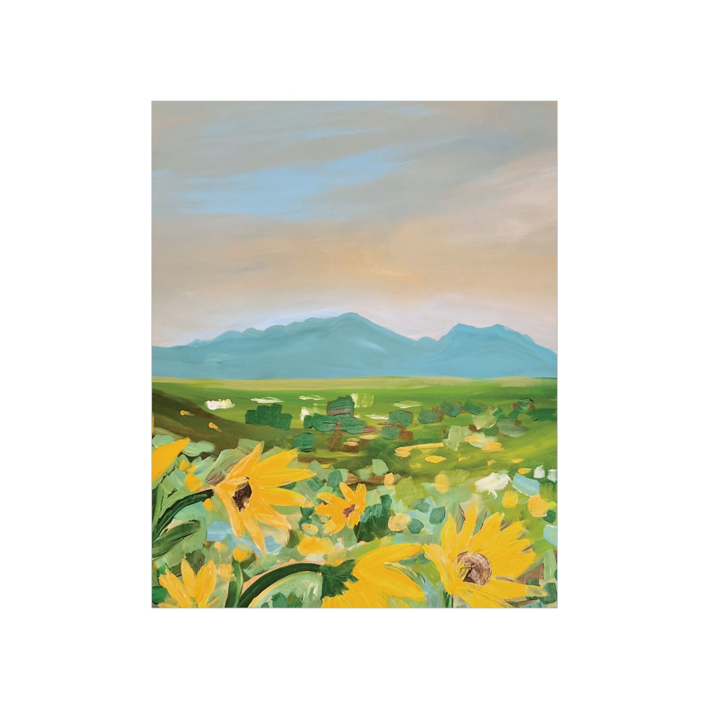 Sunflowers in Superior - Boulder, Colorado View - 2023