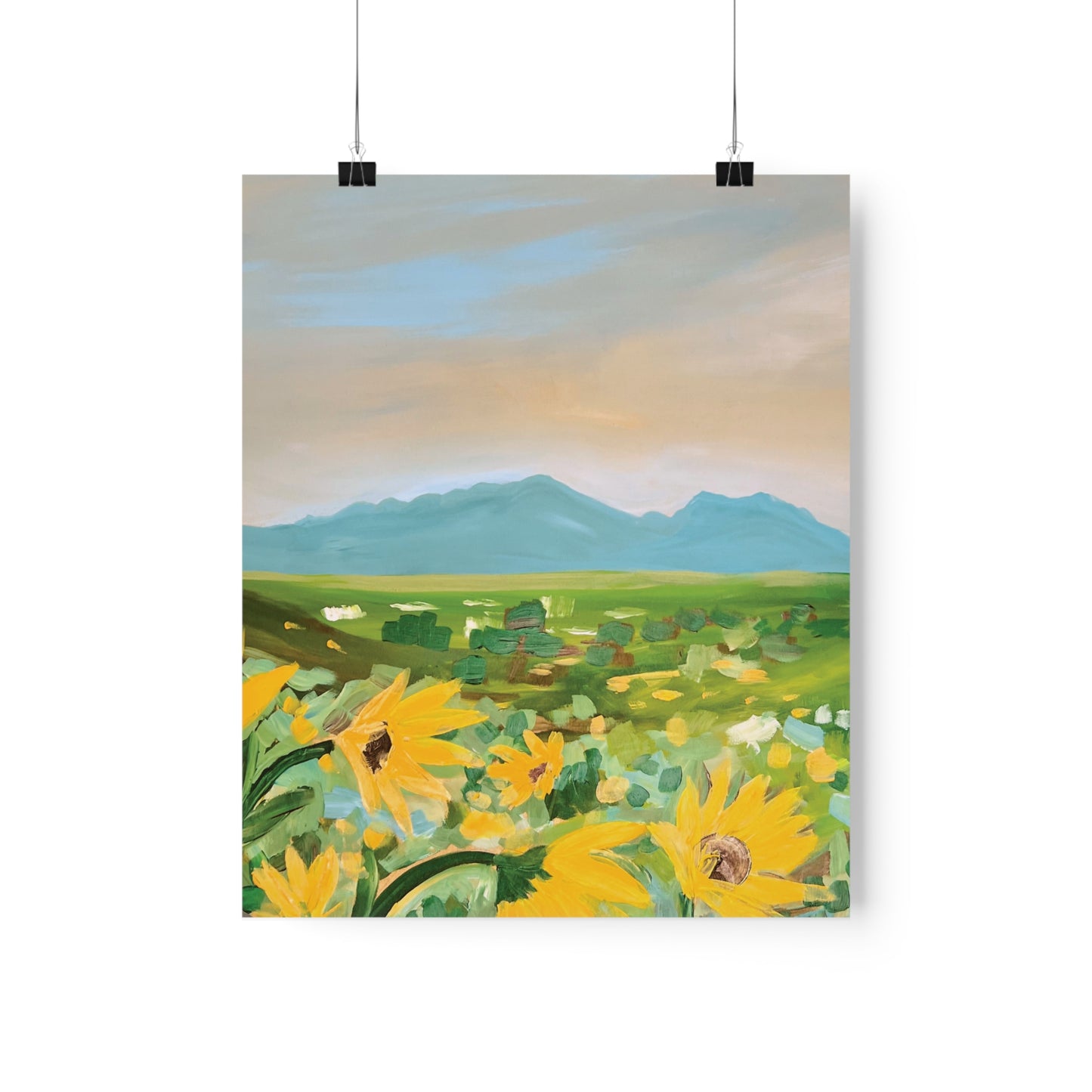 Sunflowers in Superior - Boulder, Colorado View - 2023