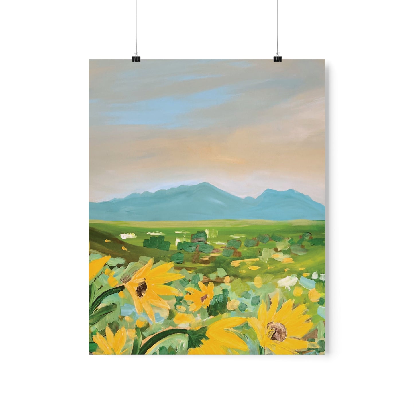 Sunflowers in Superior - Boulder, Colorado View - 2023